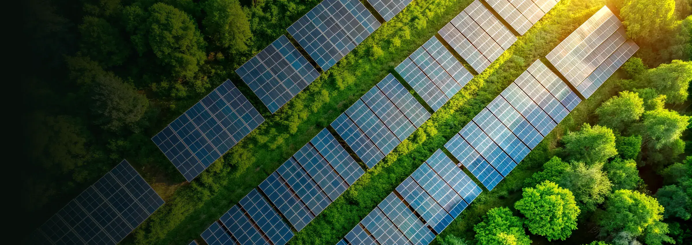 Aerial view of a solar panel array beside green landscape